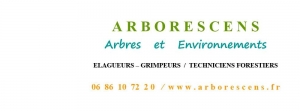 rouillon